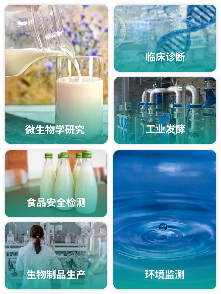 应用领域图