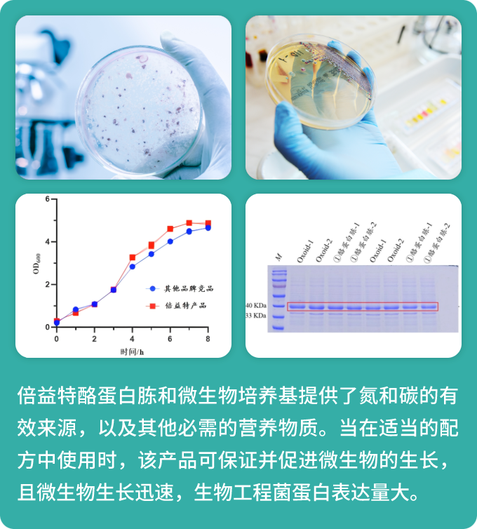产品特点图